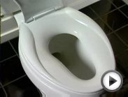Kohler Transitions Toilet Seat Kohler Toilets
